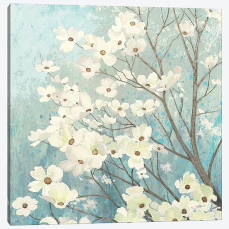 Dogwood Blossoms I Canvas Print #WAC1716} by James Wiens Canvas Wall Art