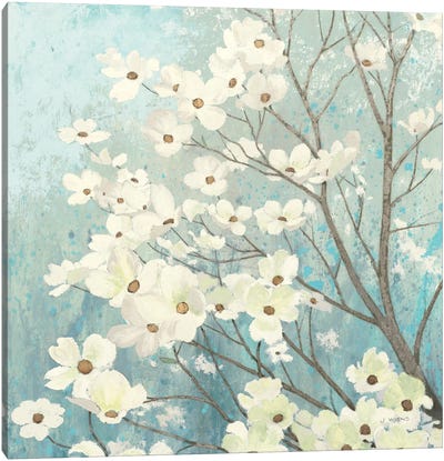 Dogwood Blossoms I Canvas Art Print - Calm & Sophisticated Living Room Art