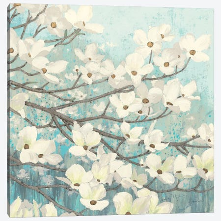 Dogwood Blossoms II Canvas Print #WAC1717} by James Wiens Canvas Wall Art