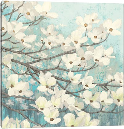 Dogwood Blossoms II Canvas Art Print - Cool Colors