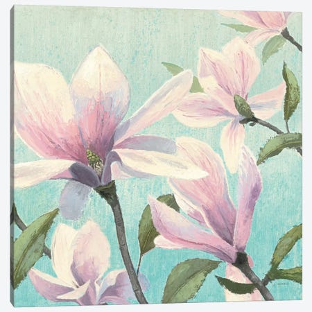 Southern Blossoms I Square Canvas Print #WAC1720} by James Wiens Canvas Wall Art