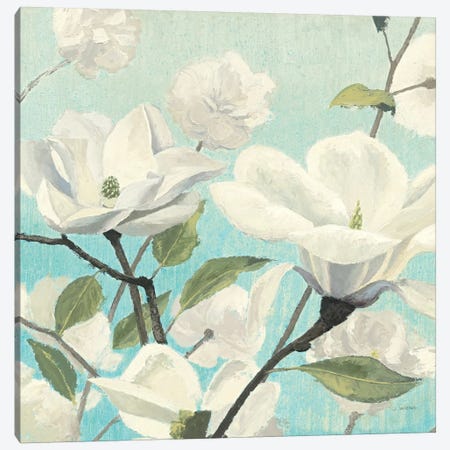 Dogwood Blossoms II Canvas Wall Art by James Wiens | iCanvas