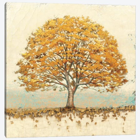 Golden Oak Canvas Print #WAC1730} by James Wiens Art Print