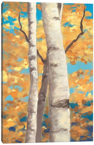 Doubloons Panel I Canvas Art Print - Aspen and Birch Trees