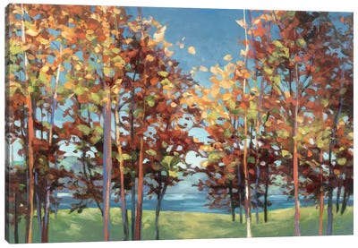 Kaleidoscope Canvas Art Print - Trees in Transition