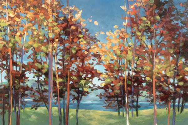 Trees In Transition: Kaleidoscope by Julia Purinton