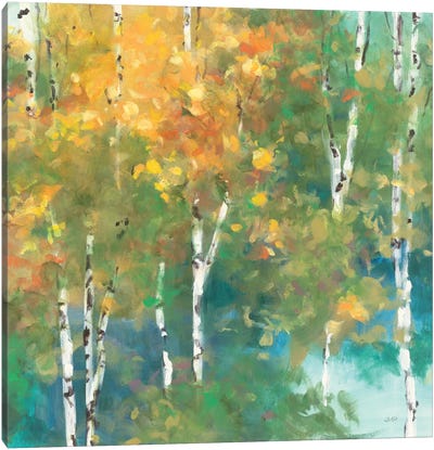 Confetti I Canvas Art Print - Aspen and Birch Trees