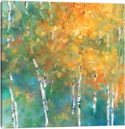 Confetti II Canvas Art Print - Aspen and Birch Trees