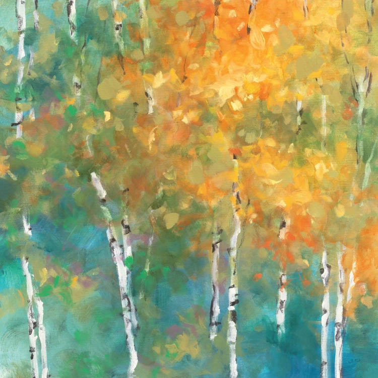 Confetti II by Julia Purinton wall art