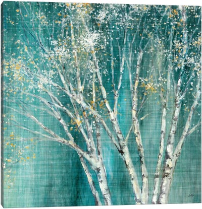 Blue Birch Canvas Art Print - Trees
