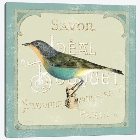 Parisian Bird II  Canvas Print #WAC1834} by Sue Schlabach Art Print