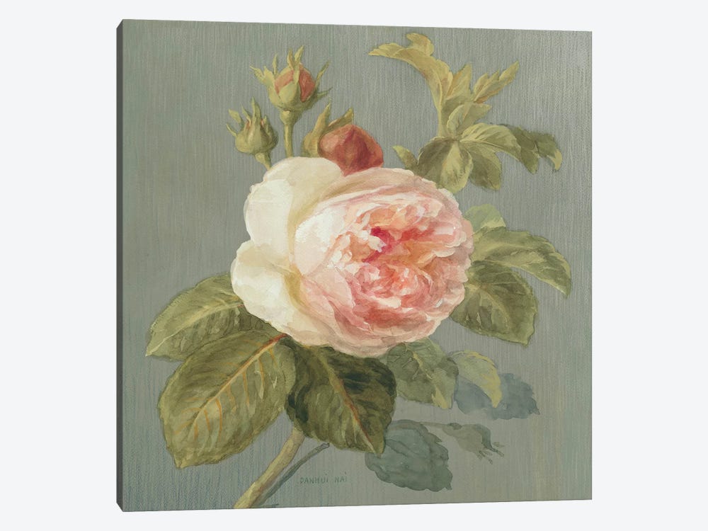 Heirloom Pink Rose by Danhui Nai 1-piece Canvas Wall Art