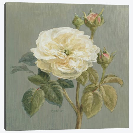 Heirloom White Rose Canvas Print #WAC184} by Danhui Nai Canvas Artwork