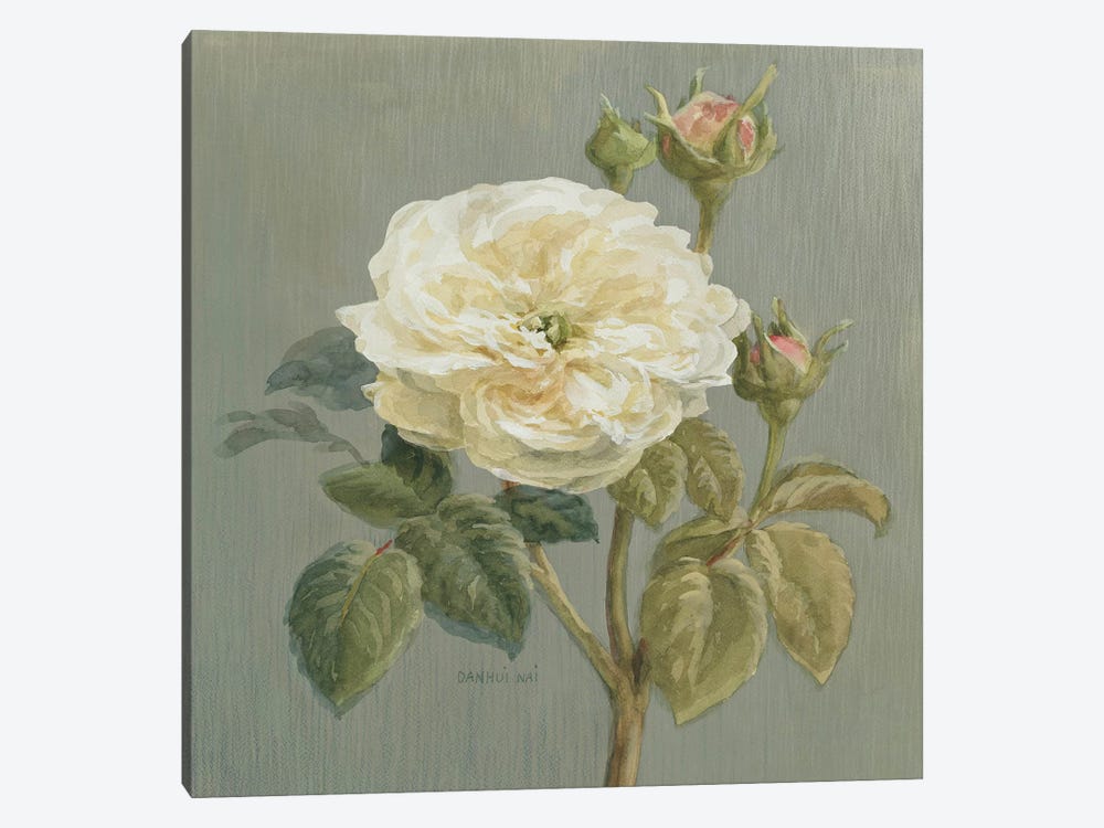 Heirloom White Rose by Danhui Nai 1-piece Canvas Print