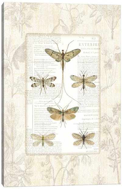 Dragonfly Botanical  Canvas Art Print - Dragonfly Art