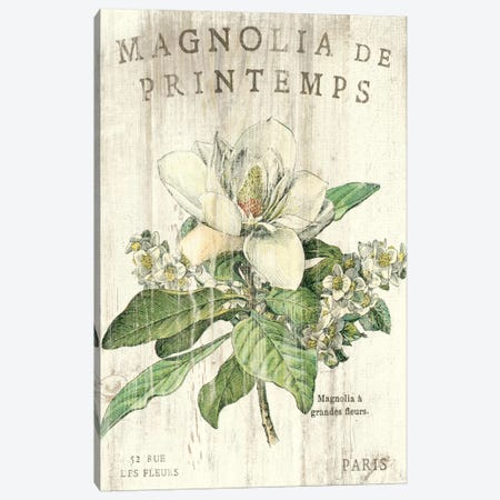 Magnolia de Printemps  Canvas Print #WAC1866} by Sue Schlabach Canvas Wall Art