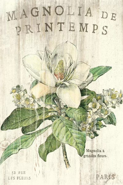 European Décor: Magnolia de Printemps  by Sue Schlabach