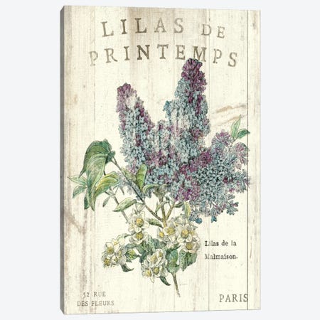 Lilas de Printemps  Canvas Print #WAC1867} by Sue Schlabach Canvas Wall Art