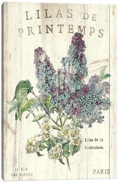 Lilas de Printemps  Canvas Art Print - Lilacs