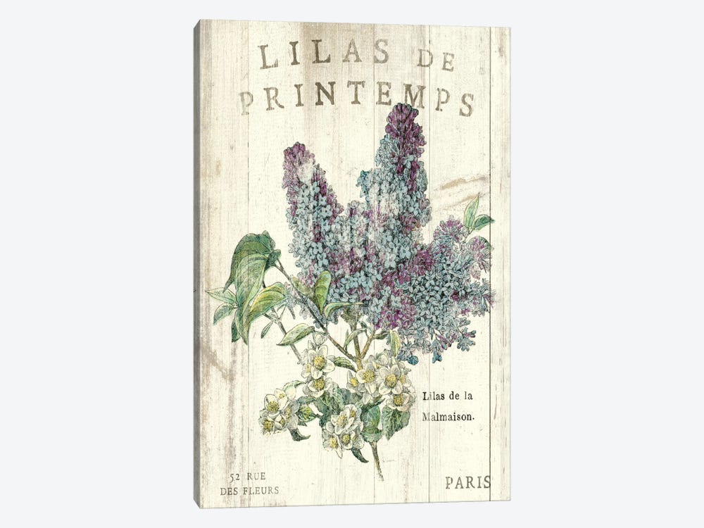 Lilas de Printemps  by Sue Schlabach 1-piece Canvas Art