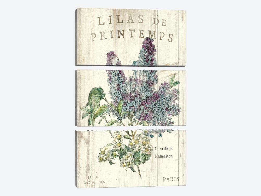 Lilas de Printemps  by Sue Schlabach 3-piece Canvas Art