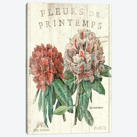 Fleur de Printemps  Canvas Print #WAC1868} by Sue Schlabach Canvas Print