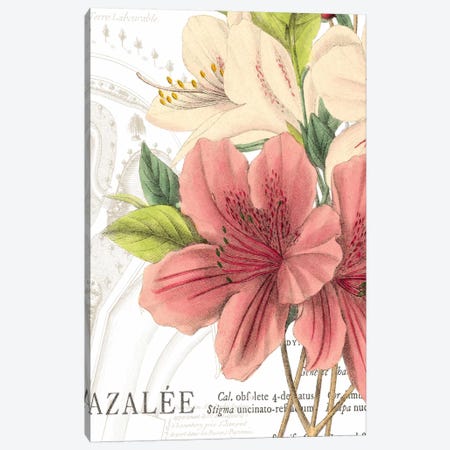 Azalee Jardin I Canvas Print #WAC1875} by Wild Apple Portfolio Canvas Art Print
