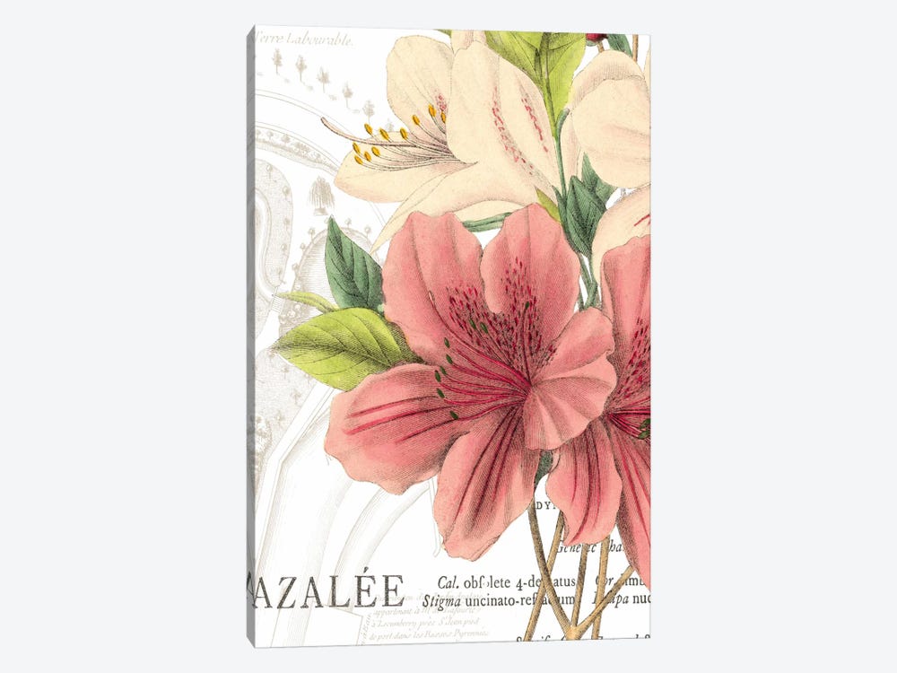 Azalee Jardin I by Wild Apple Portfolio 1-piece Art Print