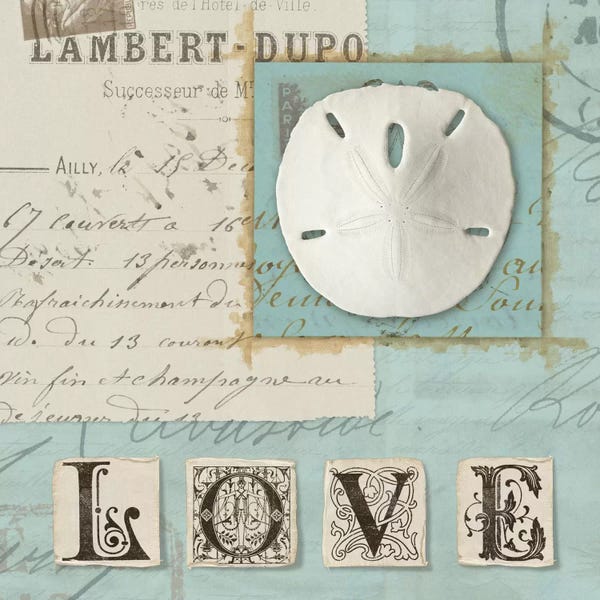 Sand Dollars: Beach Journal I by Wild Apple Portfolio