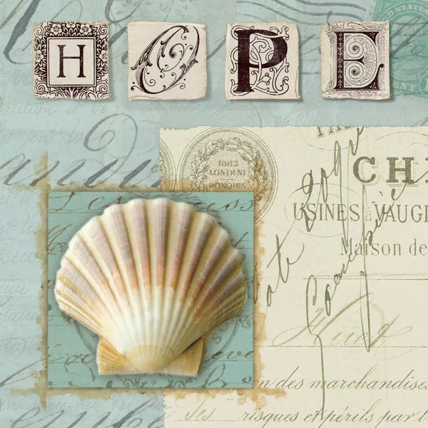 Sea Shells: Beach Journal IV by Wild Apple Portfolio