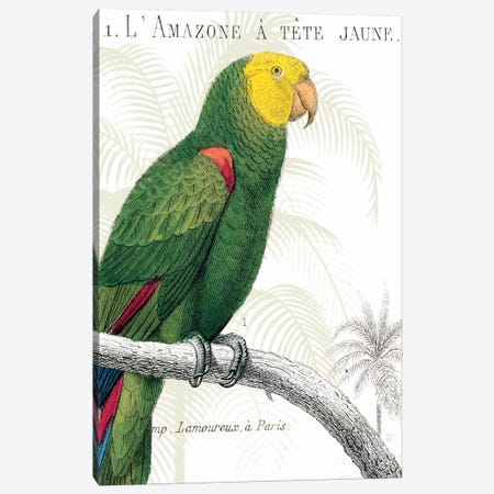 Parrot Botanique I Canvas Print #WAC1892} by Wild Apple Portfolio Canvas Art