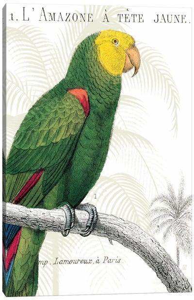 Parrot Botanique I Canvas Art Print - Parrot Art
