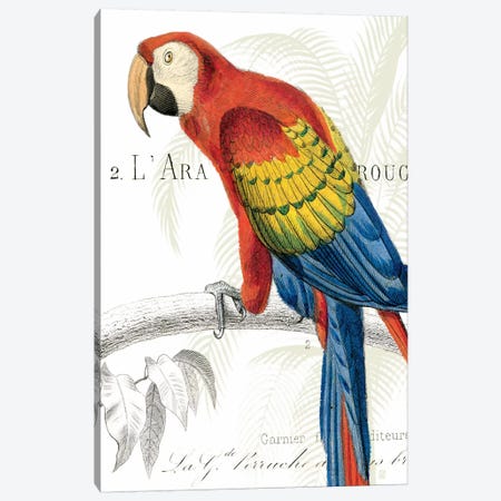 Parrot Botanique II Canvas Print #WAC1893} by Wild Apple Portfolio Canvas Artwork