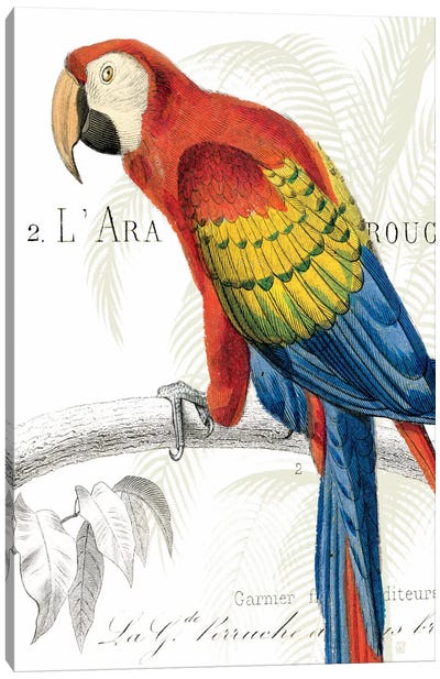 Parrot Botanique II Canvas Art Print - Parrot Art