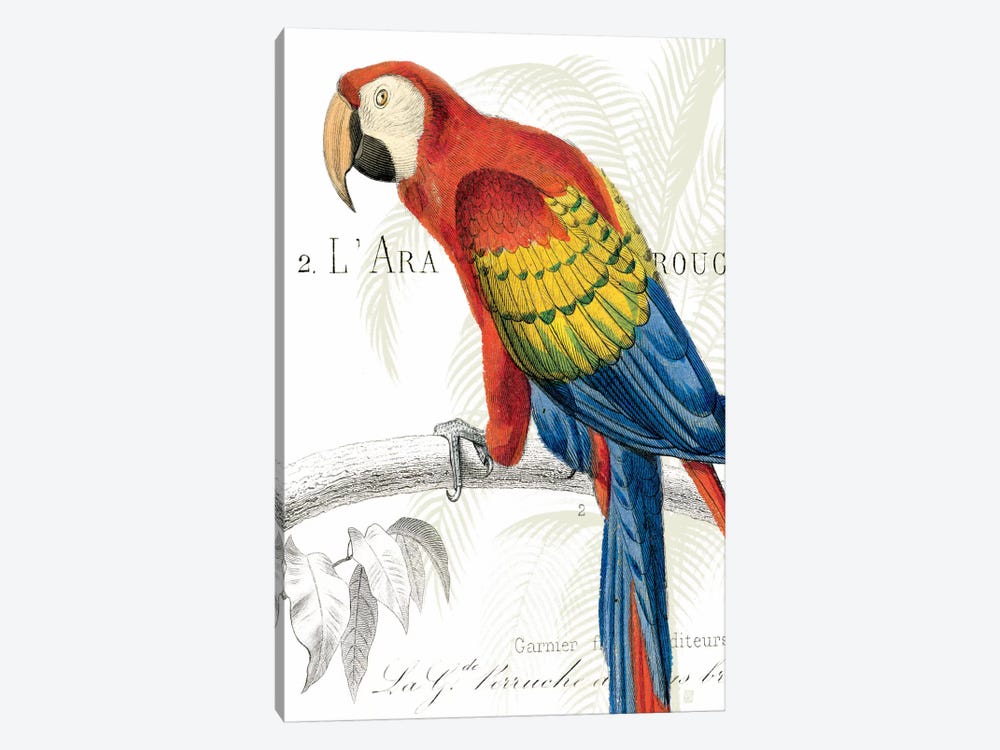Parrot Botanique II by Wild Apple Portfolio 1-piece Canvas Art Print