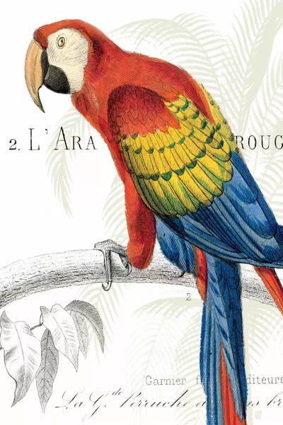 Wild Apple Portfolio: Parrot Botanique II by Wild Apple Portfolio