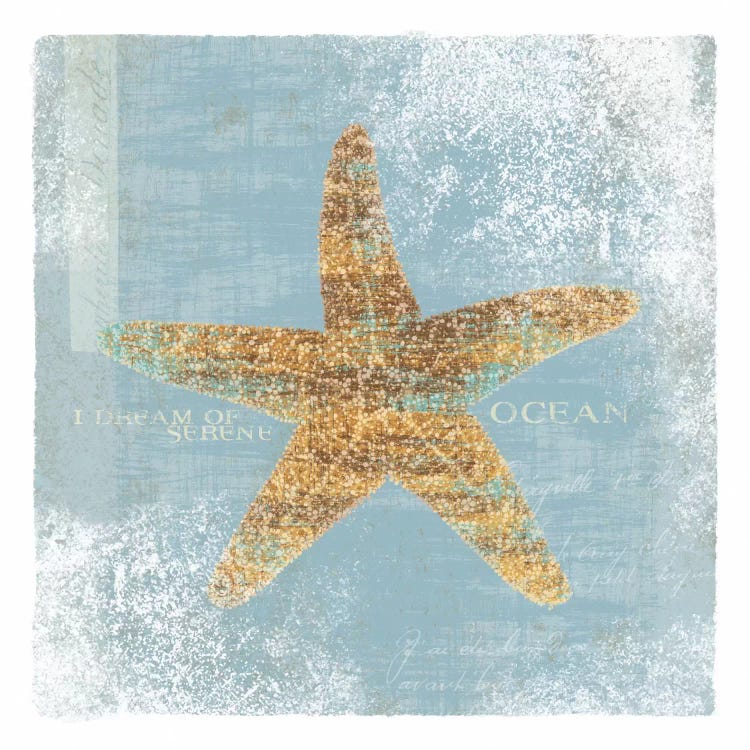 Serene Ocean by Wild Apple Portfolio wall art