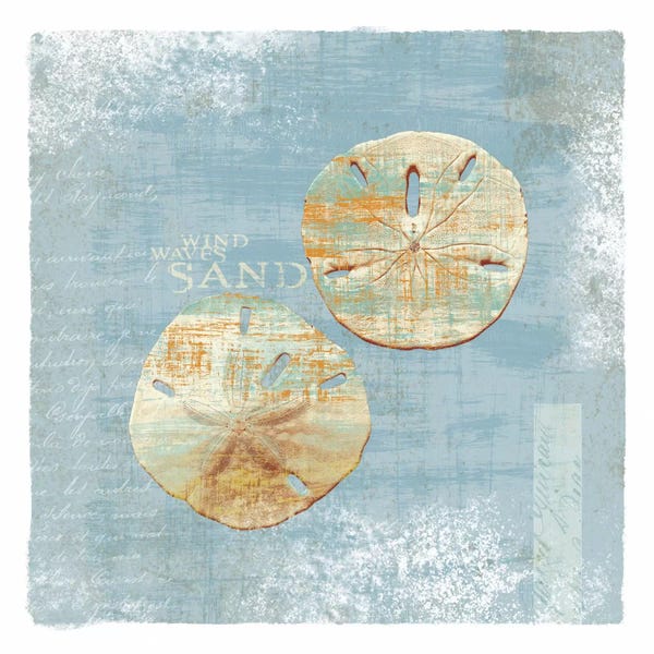 Sand Dollars: Wind Waves by Wild Apple Portfolio