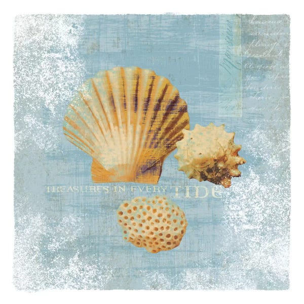 Sea Shells: Tidal Treasures by Wild Apple Portfolio