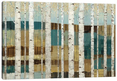 Shimmering Valley Canvas Art Print - Aspen and Birch Trees