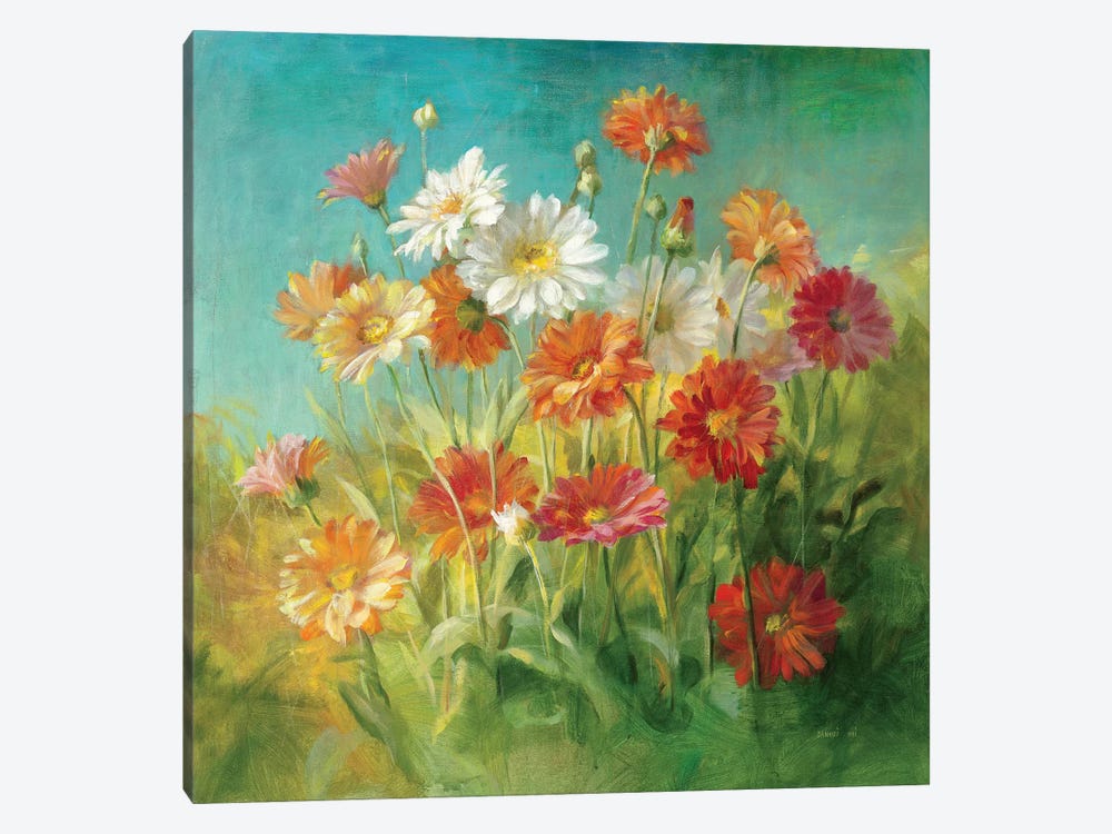 Painted Daisies by Danhui Nai 1-piece Canvas Print