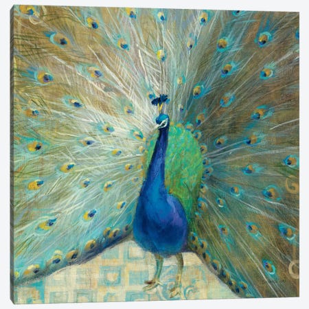 Blue Peacock on Gold Canvas Print #WAC2008} by Danhui Nai Art Print
