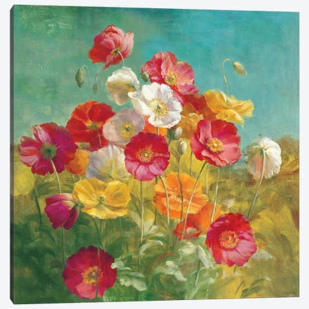 Poppies in the Field Canvas Print #WAC202} by Danhui Nai Canvas Artwork