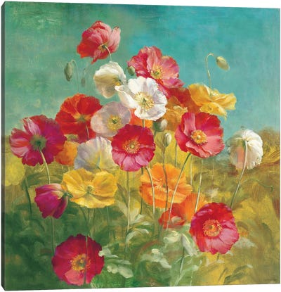 Poppies in the Field Canvas Art Print - Garden & Floral Landscape Art