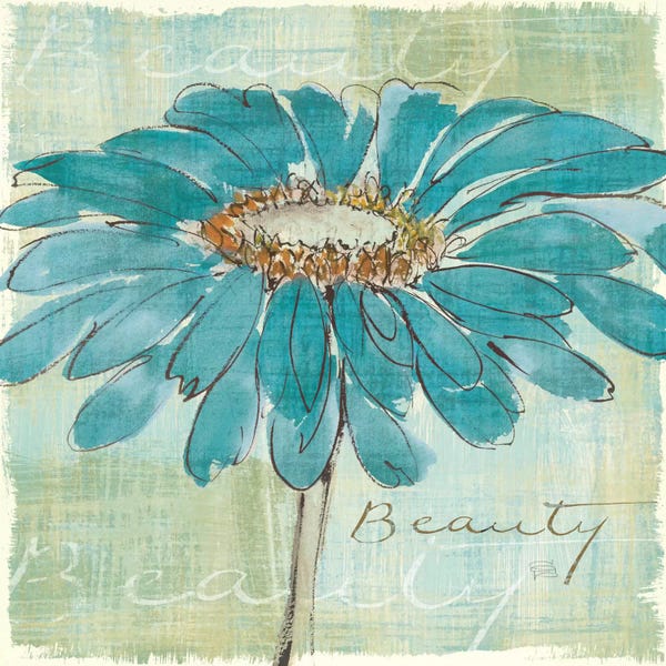 Daisies: Spa Daisies I by Chris Paschke