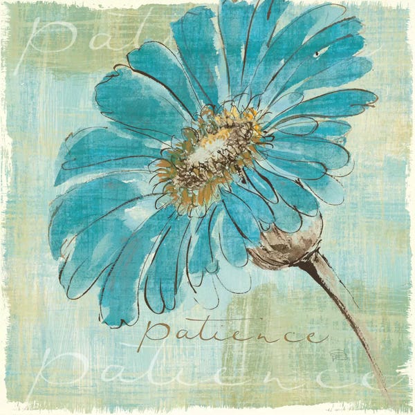 Daisies: Spa Daisies II by Chris Paschke
