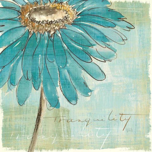Daisies: Spa Daisies III by Chris Paschke