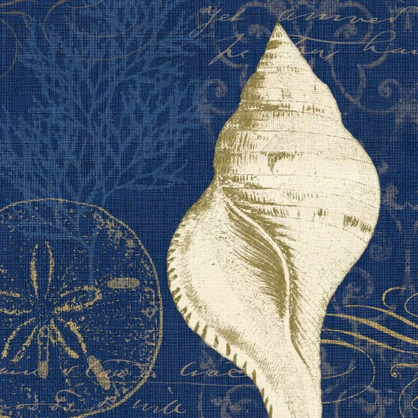 Pela Studio: Coastal Moonlight IV by Pela Studio