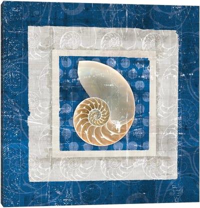 Sea Shell II on Blue Canvas Art Print