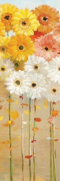 Daisies: Daisies Fall I by Danhui Nai